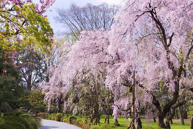 Kyoto: Nijo Castle World Heritage Guided Tour with Admission - Price and logistics: does $39.24 feel worth it?