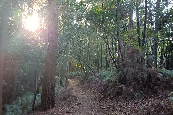 Kyoto Off The Beaten Path: Hidden Zen Garden & Magical Shrine - Getting an early start near Shichijo Keihan