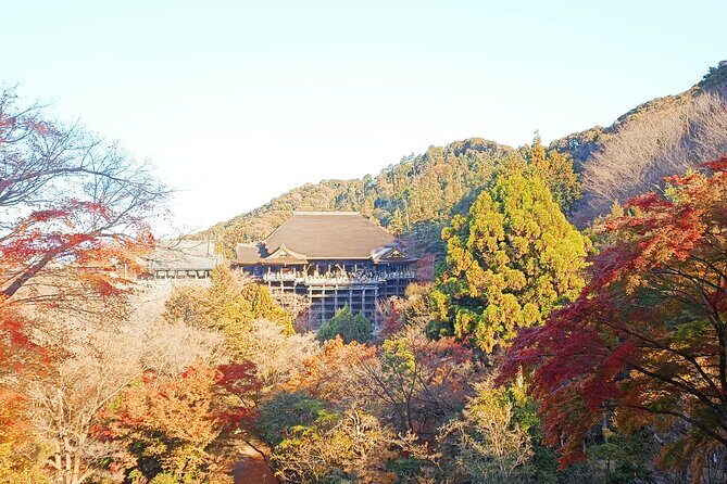 Kyoto Off The Beaten Path: Hidden Zen Garden & Magical Shrine - The walking pace: active but not a punishment
