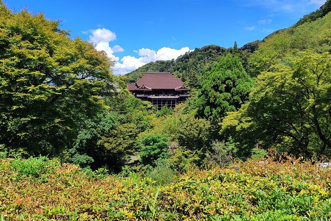Kyoto Off The Beaten Path: Hidden Zen Garden & Magical Shrine - How the day feels: history with space to breathe