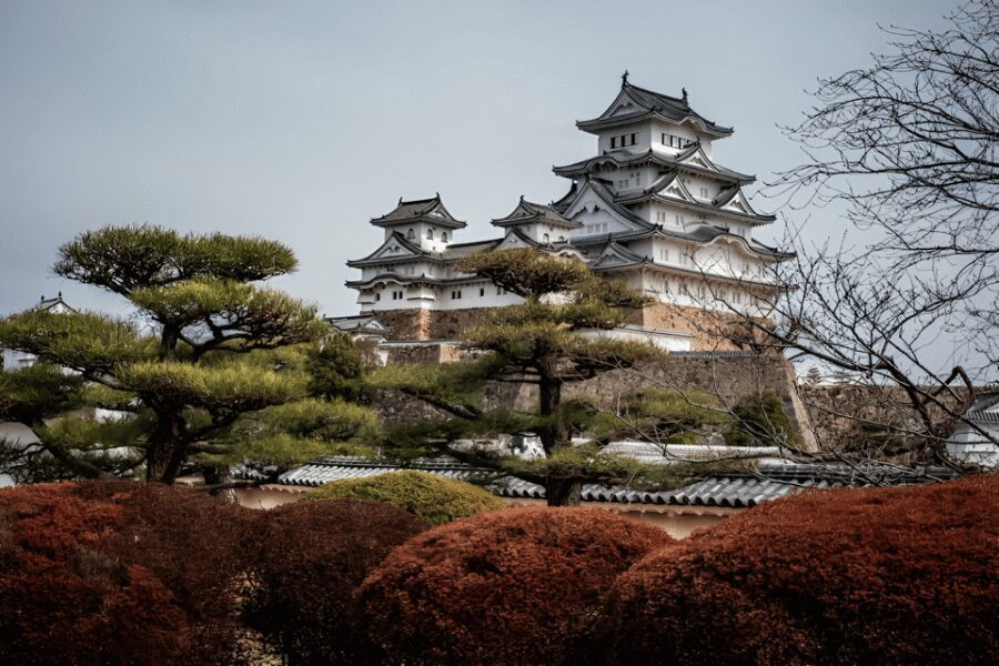 Kyoto/Osaka: Kobe & Himeji Journey Through Culture & History - Door-to-Door Comfort from Kyoto or Osaka