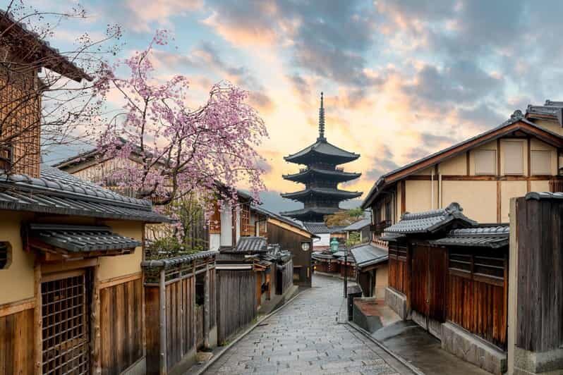 Kyoto/Osaka: Kyoto and Nara Customized Private Guided Tour - Arashiyama Bamboo Forest: the right kind of early wow