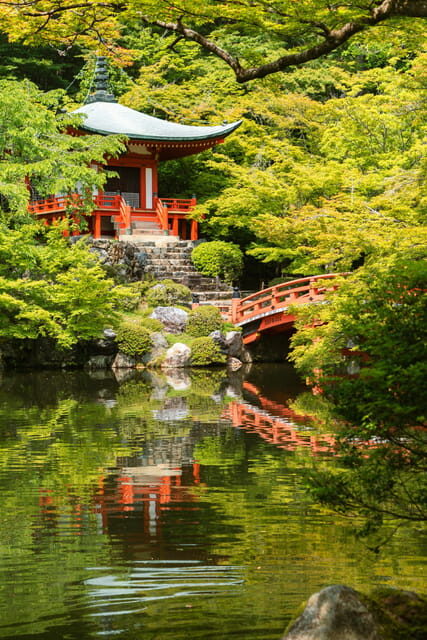 Kyoto/Osaka: Kyoto and Nara Customized Private Guided Tour - Kinkaku-ji and the gold-leaf effect you came for