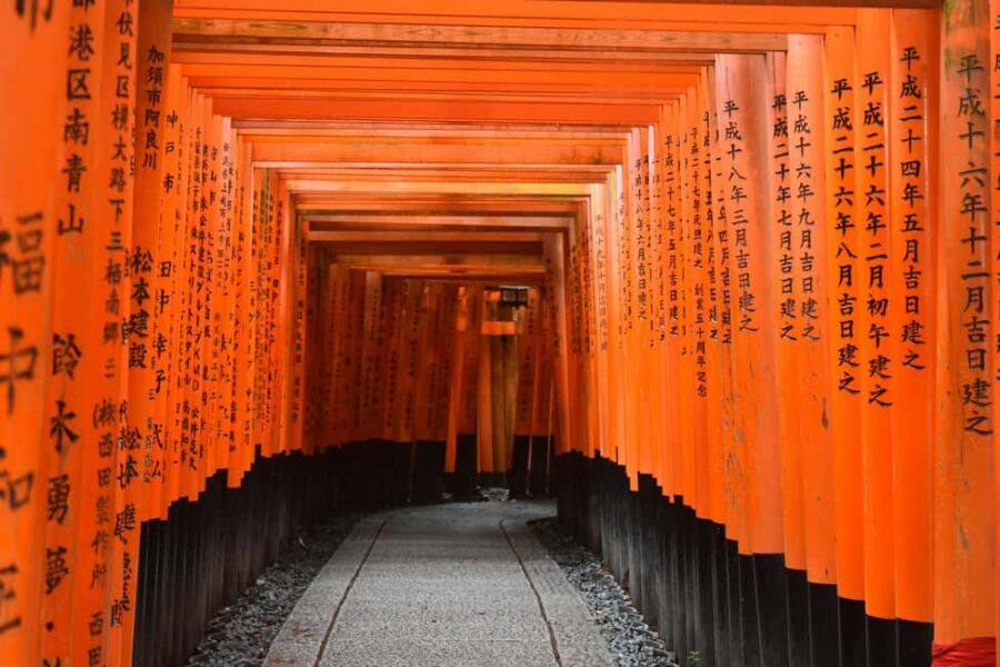Kyoto/Osaka: Kyoto&Nara Customized Private Highlights Tour - Key Things You’ll Love About This Kyoto and Nara Private Day