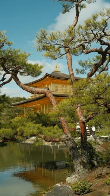Kyoto/Osaka: Kyoto&Nara Customized Private Highlights Tour - Kinkaku-ji (Golden Pavilion): Kyoto Beauty You Can See in One Glance