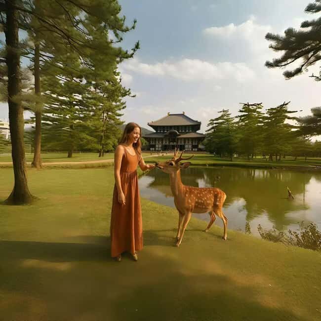 Kyoto/Osaka: Kyoto&Nara Customized Private Highlights Tour - Todai-ji and Nara Park: The Big Temple + The Deer Moment