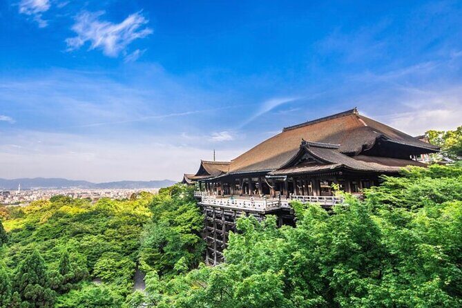 Kyoto, Osaka, Nara Full Day tour by Car English speaking Driver - Price and logistics: what you’re paying for in real life