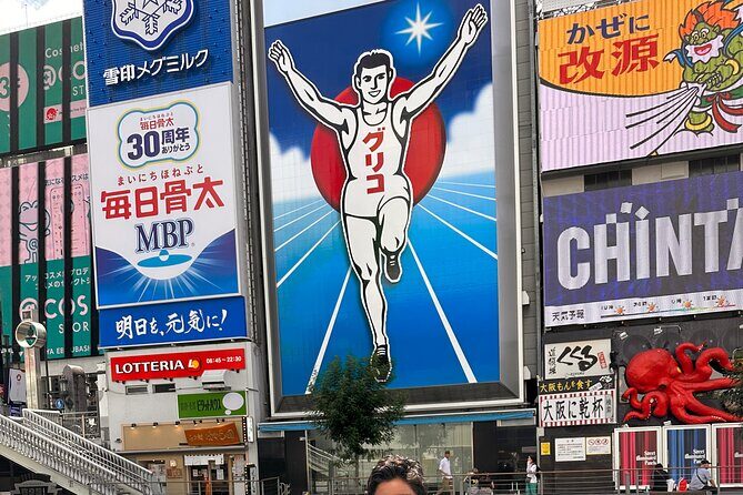 Kyoto, Osaka, Nara Full Day tour by Car English speaking Driver - Is the driver really a guide? Managing expectations the smart way