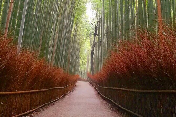Kyoto, Osaka, Nara Full Day tour by Car English speaking Driver - Quick budget planner (so the day doesn’t surprise you)