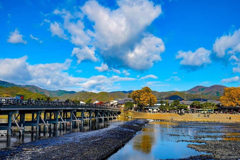 Kyoto/Osaka: Nara, Fushimi Inari Taisha, Arashiyama Bus Tour - Nara Park deer feeding: fun, fast, and worth the noise