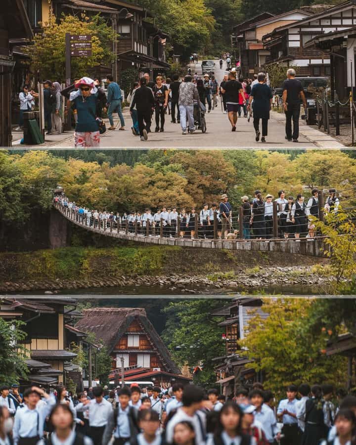 Kyoto/Osaka/Nara Private Customized Tour with Guide - Nara Park Deer Feeding: The Moment Kids Remember
