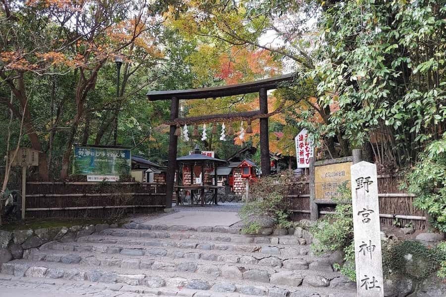 Kyoto/Osaka/Nara Private Customized Tour with Guide - Todai-ji and the Great Buddha: Big, Calm, and Worth the Stop
