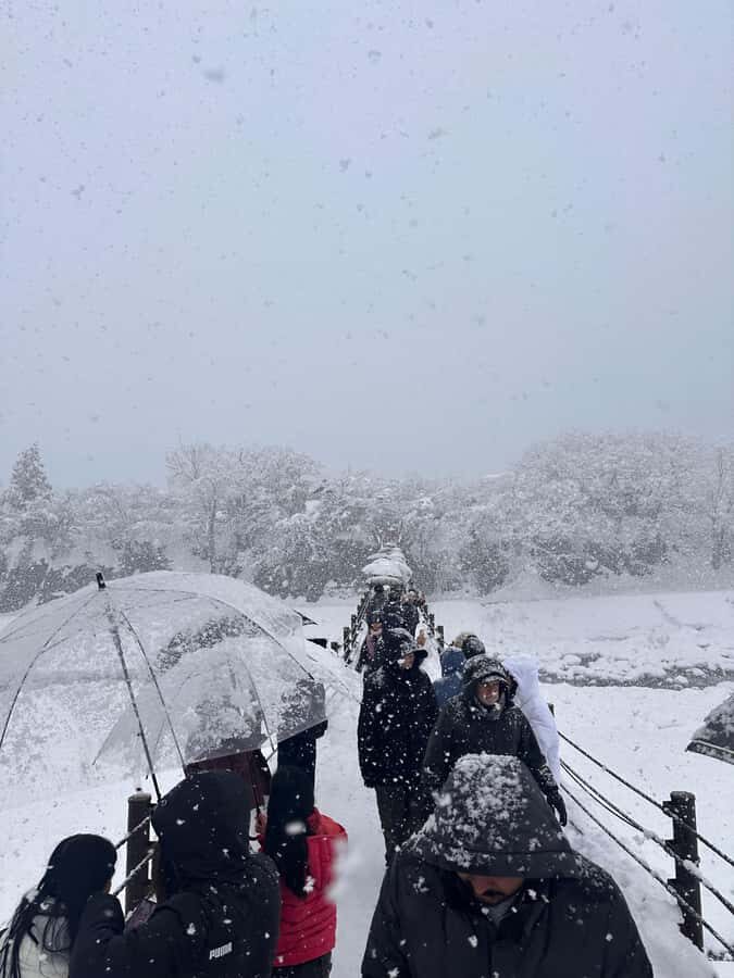 Kyoto/Osaka/Nara Private Customized Tour with Guide - Comfort, Communication, and How Guides Make It Feel Easy
