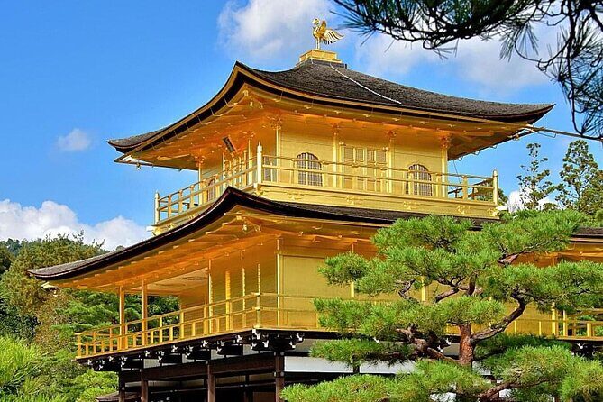 Kyoto, Osaka, Nara Private Tour by Car English Driver Guide - Nara Day Trip Route: Deer Park, Todai-ji, Kasuga Shrine, and Naramachi
