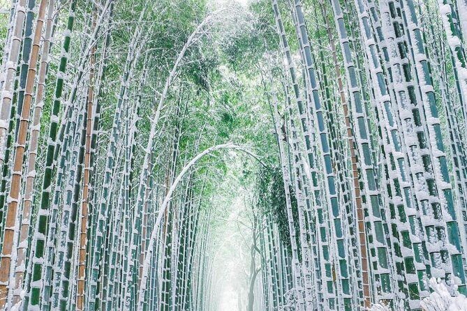 Kyoto, Osaka, Nara Private Tour by Car English Driver Guide - Osaka Highlights Route: Castle, Shitennoji, Dotonbori, and Park Time