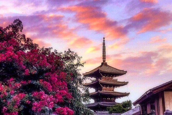 Kyoto, Osaka, Nara Private Tour by Car English Driver Guide - Kyoto Full-Day Route: Bamboo, Temples, Torii Gates, and Market Time