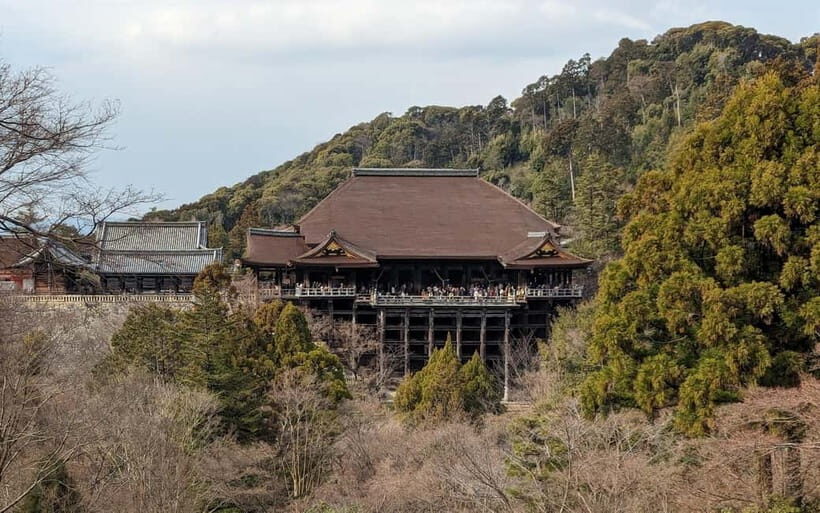 Kyoto: Personalize, private tour (3h, 5h, 8h) [W/Car Option] - Getting Around Like a Local: Train, Footpaths, and the Car Option