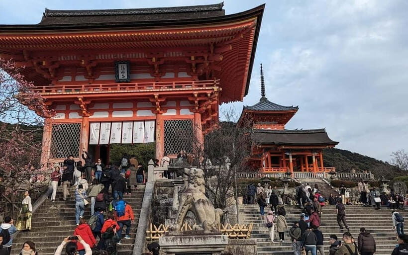 Kyoto: Personalize, private tour (3h, 5h, 8h) [W/Car Option] - Private Guide Power: 3 vs 5 vs 8 Hours in Real Kyoto Time