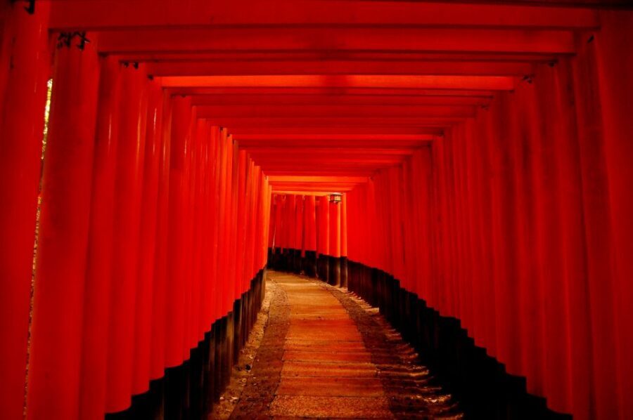 Kyoto: Personalized Guided Private Tour - What the guide experience looks like in real life