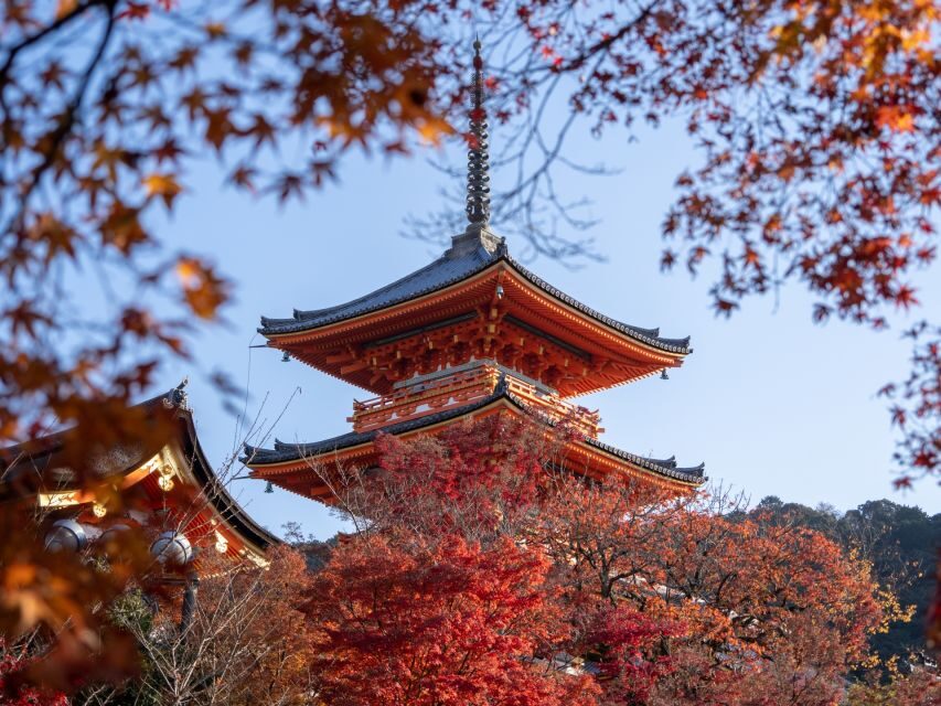 Kyoto: Personalized Guided Private Tour - Golden Pavilion (Kinkaku-ji): the “photo temple” with useful context