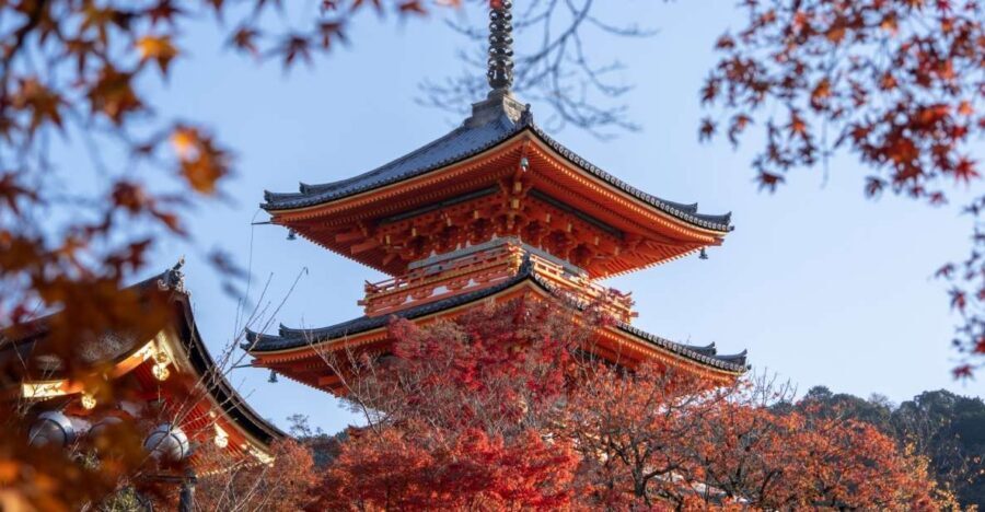 Kyoto: Personalized Guided Private Tour - Fushimi Inari’s red torii gates: seeing the tunnel, not just the postcard