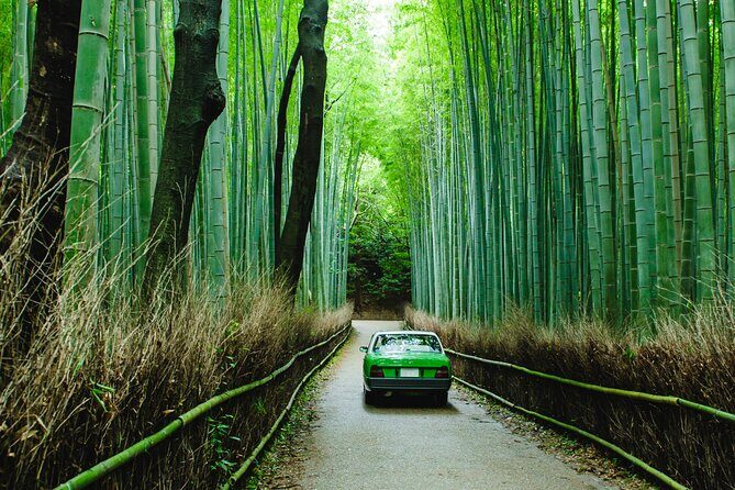 Kyoto Private 6 hour Tour: English Speaking Driver Only, No Guide - Key things that make this tour work