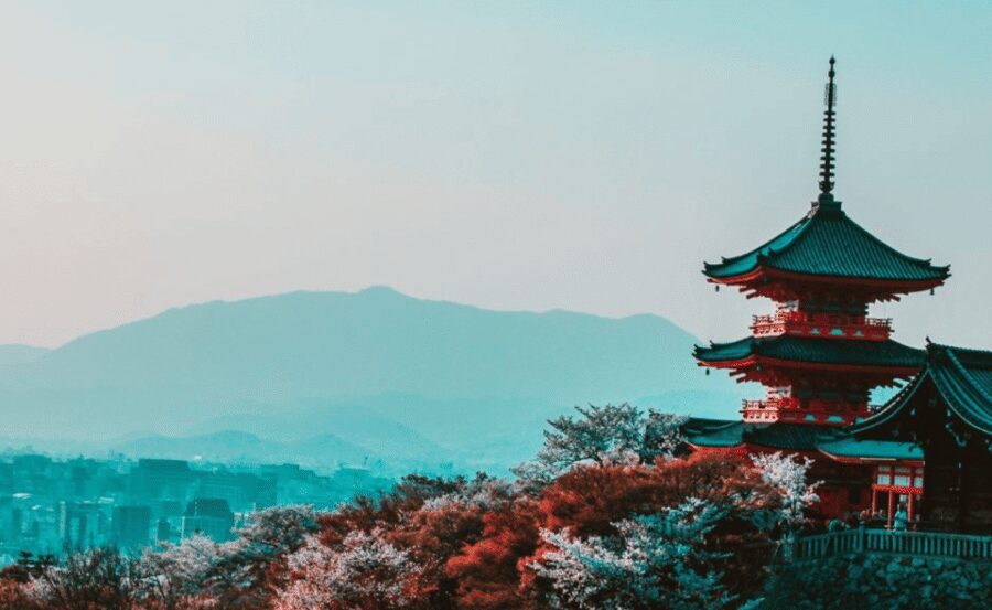 Kyoto : Private Custom Walking Tour With A Local Guide - Custom Routes: How You Build the Right Kyoto Day