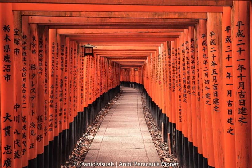 Kyoto: Private Customizable Day Tour with Guide and Vehicle - The practical magic: why private Kyoto saves more than time