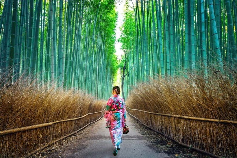 Kyoto: Private Customizable Day Tour with Guide and Vehicle - Choosing your Kyoto rhythm with a customizable itinerary
