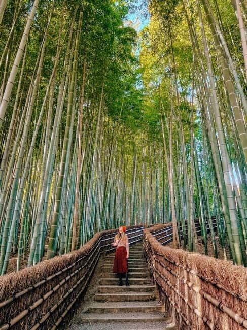 Kyoto: Private Customizable Day Tour with Guide and Vehicle - Nishiki Market: where Kyoto tastes like Kyoto