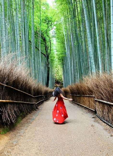 Kyoto: Private Customizable Day Tour with Guide and Vehicle - Kinkaku-ji (Golden Pavilion): iconic, but timing is everything