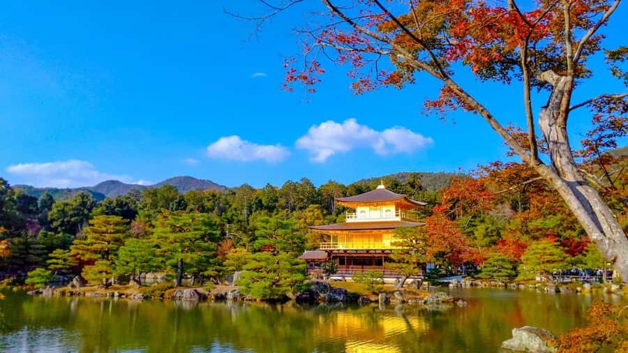 Kyoto: Private Customizable Day Trip by Car - The 10-hour plan: timing, the hard stop at 18:00, and lunch in the mix