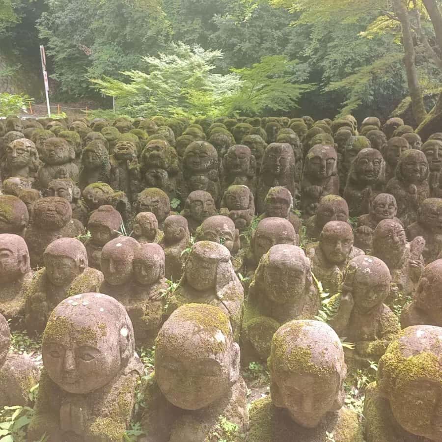 Kyoto: Private Customizable Day Trip by Car - Arashiyama (1.5 hours): bamboo area energy without the commute grind