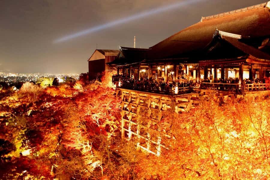 Kyoto: Private Customizable Day Trip by Car - Kinkaku-ji (1 hour): Golden Pavilion, short and sweet