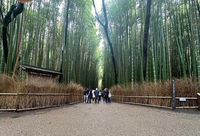 Kyoto Private Customizable Day Trip With English chauffeur - Key Highlights You’ll Actually Feel in Your Day