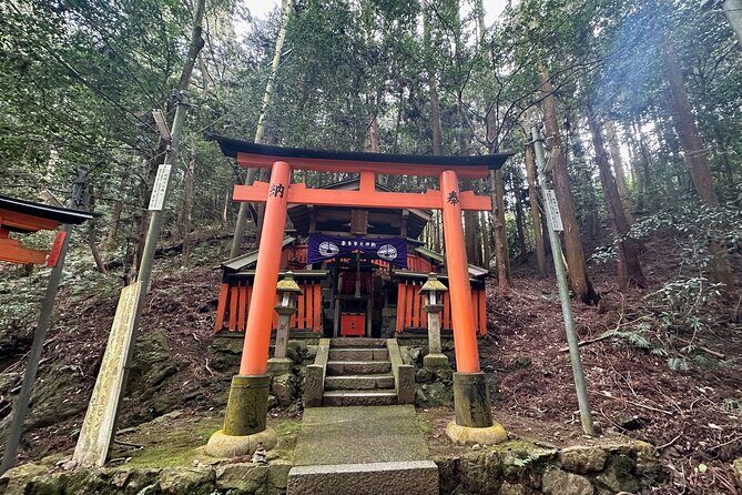 Kyoto Private Customizable Day Trip With English chauffeur - A Private Kyoto Day Starts With Pickup and an English-Speaking Driver