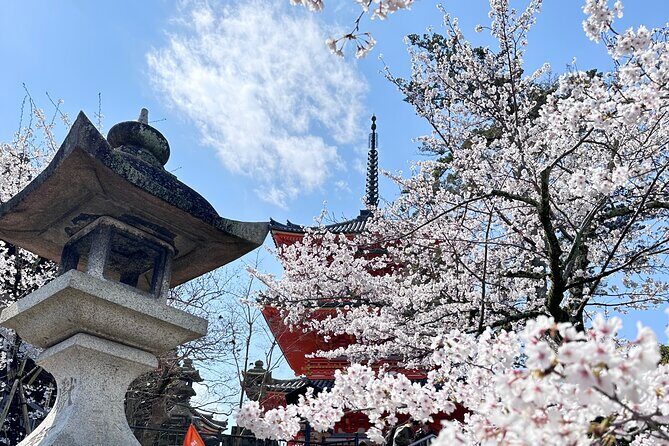Kyoto Private Customizable Day Trip With English chauffeur - Nishiki Market: Kyoto’s Kitchen for Snacks, Souvenirs, and Short Wandering
