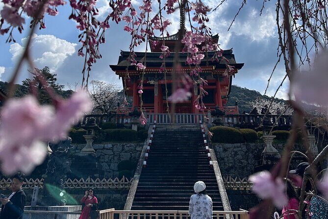 Kyoto Private Customizable Day Trip With English chauffeur - Sanjusangendo Temple: The 1,001 Kannon Statues Stop
