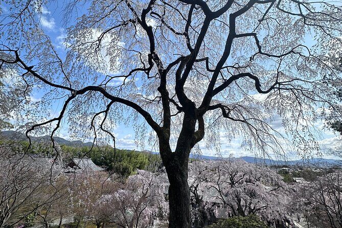 Kyoto Private Customizable Day Trip With English chauffeur - Ginkakuji (Silver Pavilion): Quiet Zen Gardens Without the Flash