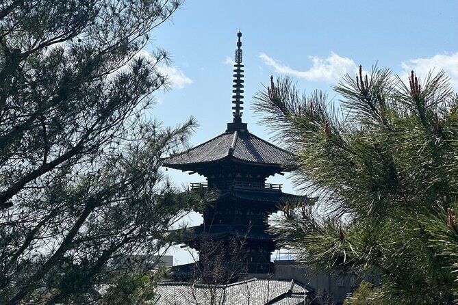 Kyoto Private Customizable Day Trip With English chauffeur - Arashiyama: Bamboo Grove Time in a 1.5-Hour Window