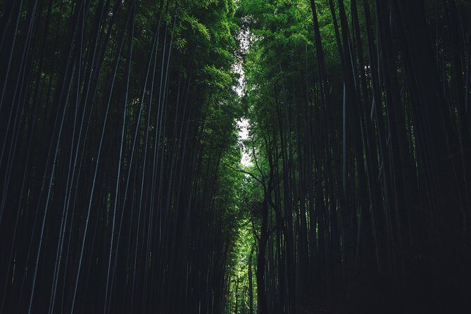 Kyoto Private Customizable Full Day Tour - Why This Kyoto Private Tour Works for People Who Hate Rigid Itineraries