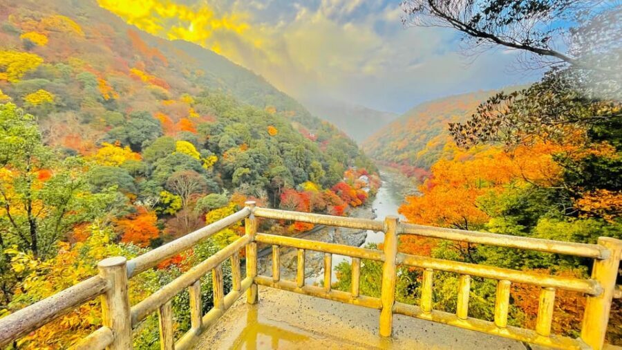 Kyoto: Private Customizable Guided tour with Luxury Vehicle - Why a private Kyoto day beats bus hopping