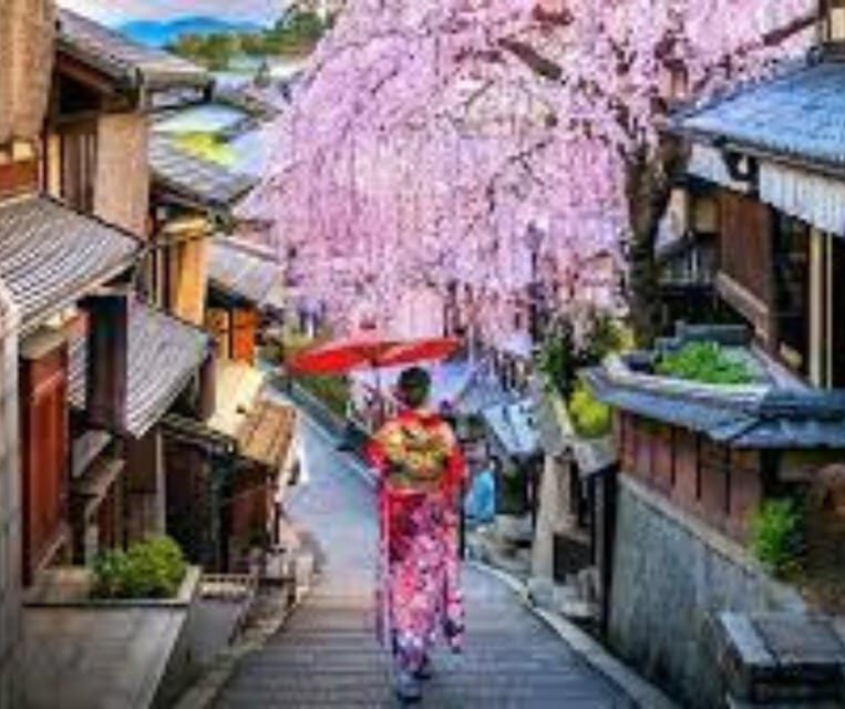 Kyoto: Private Customizable Guided tour with Luxury Vehicle - Kiyomizu-dera and the Ninenzaka/Sannenzaka streets