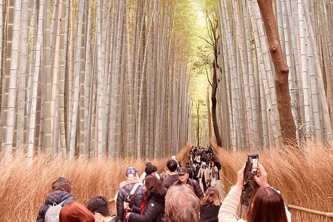 Kyoto Private & Customizable Tour with English-Speaking Driver - Why this Kyoto private day feels like the smart move
