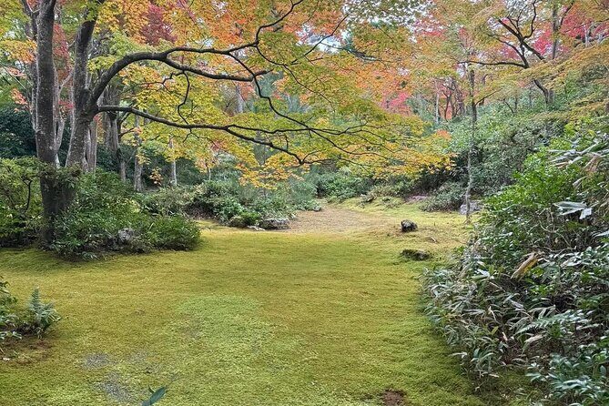 Kyoto Private & Customizable Tour with English-Speaking Driver - Getting around in comfort: vehicle, timing, and logistics