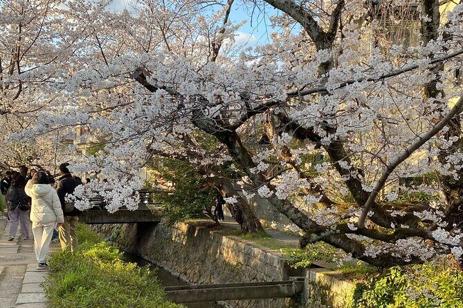 Kyoto Private & Customizable Tour with English-Speaking Driver - The customization part: how the day can adapt fast