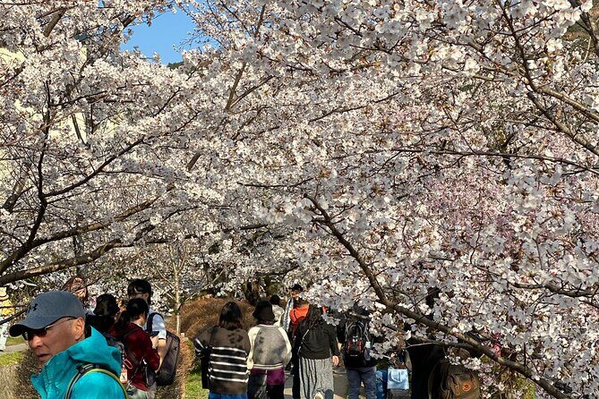 Kyoto Private & Customizable Tour with English-Speaking Driver - Admissions, meals, and how to budget a full day