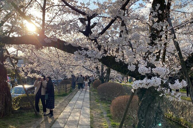 Kyoto Private & Customizable Tour with English-Speaking Driver - Weather, crowds, and why a private route helps