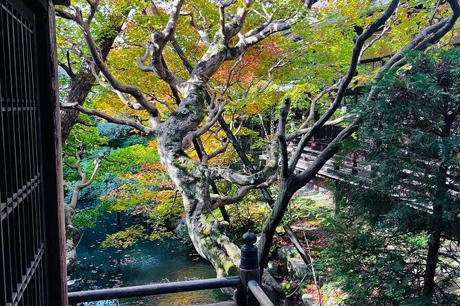 Kyoto Private & Customizable Tour with English-Speaking Driver - Price and value for a group up to six
