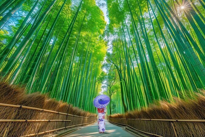 Kyoto Private Customized Day Tour with Guide - Key Highlights You’ll Feel Right Away